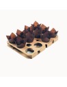 Placa cartón para tulipas (pack 5 un)
