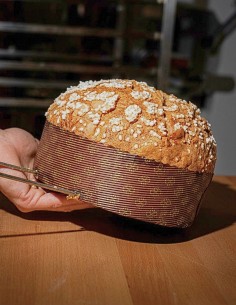 Molde rígido bajo panettone 950 g, caja 240 uds 2