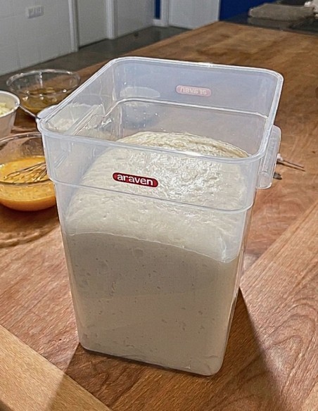 Fermentación de masa en contenedor de polipropileno