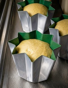 molde pandoro aluminio, teflón verde 2